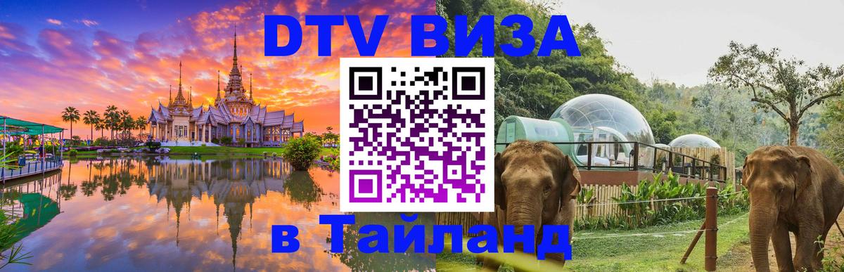 DTV Visa Тайланд купить 